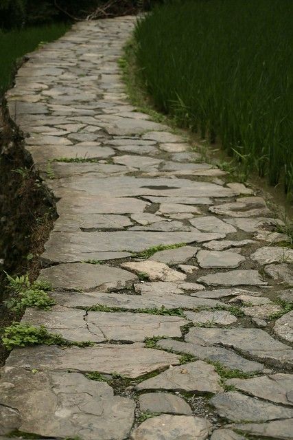 an umbrella is sitting on the stone path