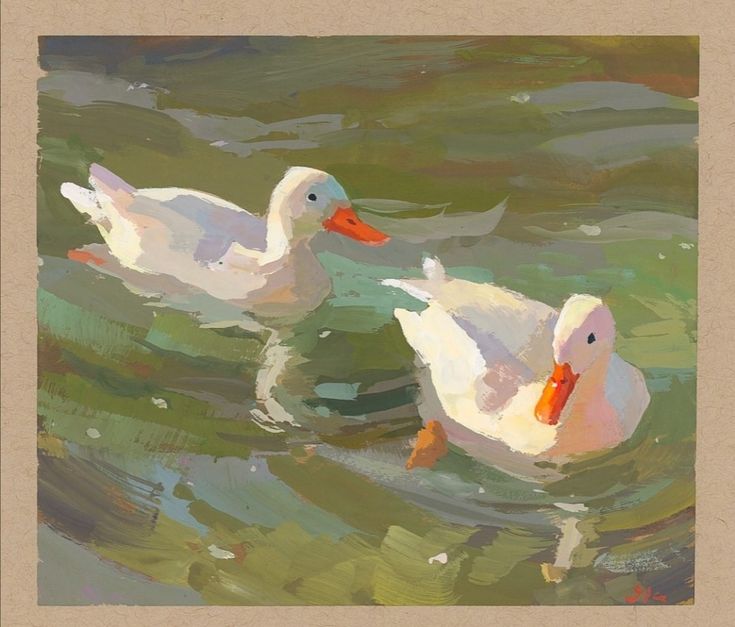 two white ducks floating on top of a lake next to another duck in the water