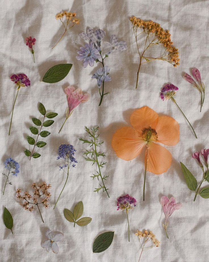 an assortment of wildflowers and other flowers on a white sheet with green leaves