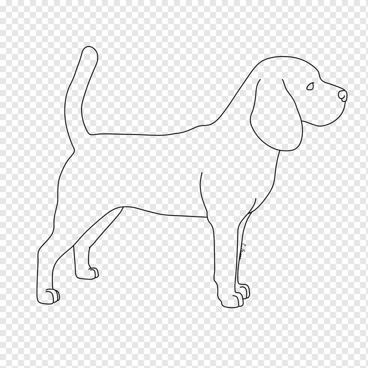 a black and white drawing of a dog with long legs, on a transparent background