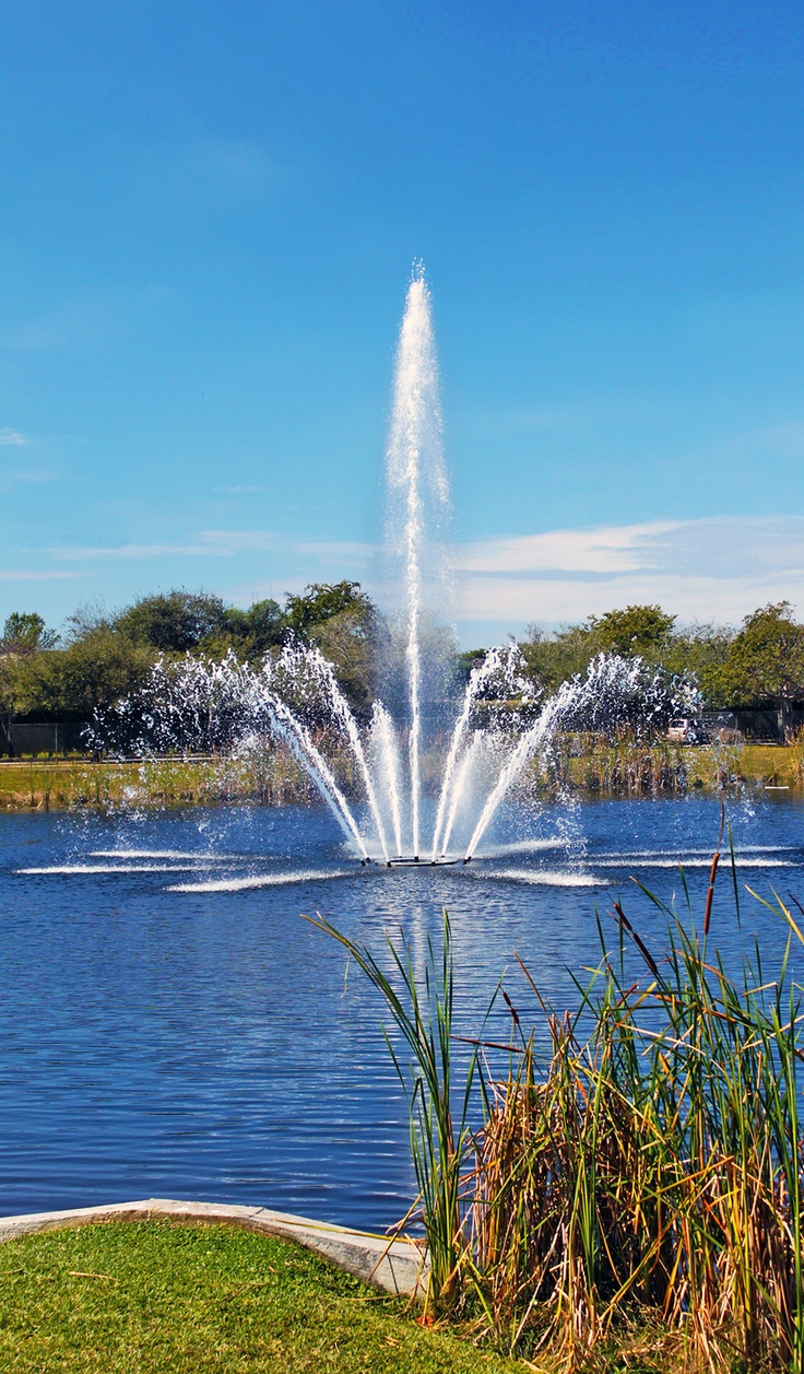 there is a large water fountain in the middle of the lake and it's spouting water