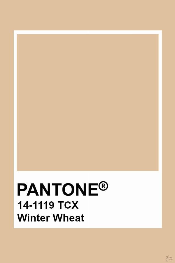 pantone's winter wheat color is shown with the words pantone on it