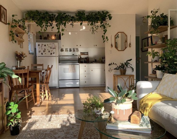 a living room filled with furniture and lots of plants