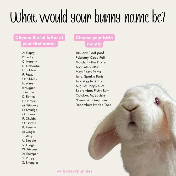 a bunny with the words what would your bunny name be?