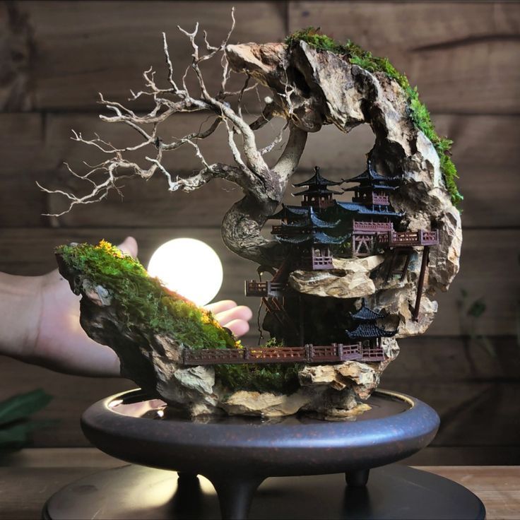 a person is holding a small tree in front of a miniature house on top of a rock