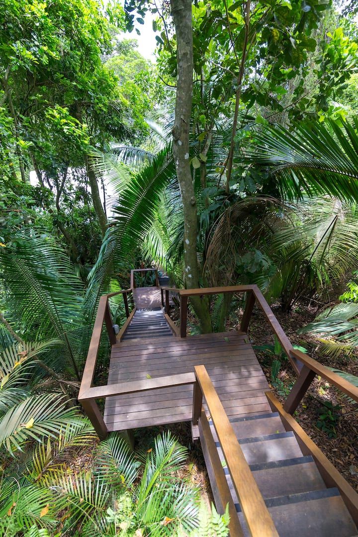 wooden steps leading to the top of a tree