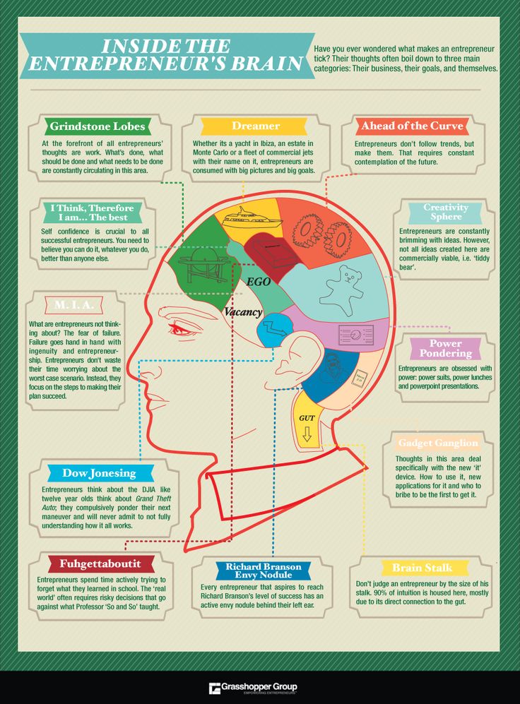 the inside of a human head with different parts labeled in each section, including the brain and