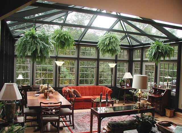 a living room filled with lots of furniture and plants on the windows sills