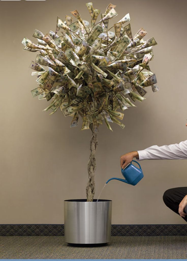 a woman is pouring money into a pot next to a tree that has been shaped like a plant