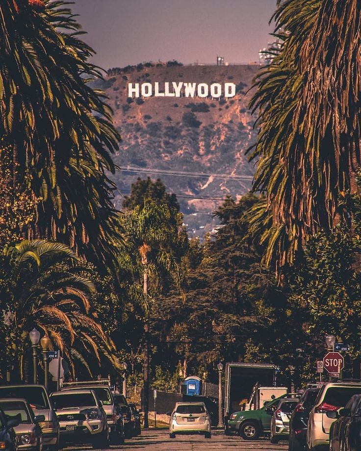 the hollywood sign is surrounded by palm trees and parked cars in front of it with mountains in the background