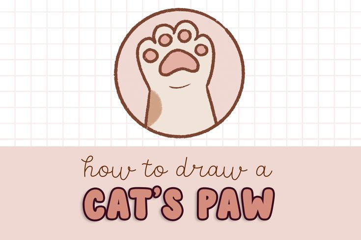 how to draw a cat's paw