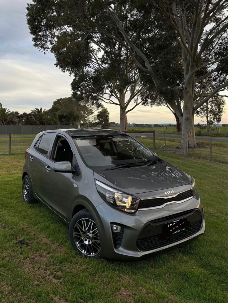 a grey car parked on top of a lush green field