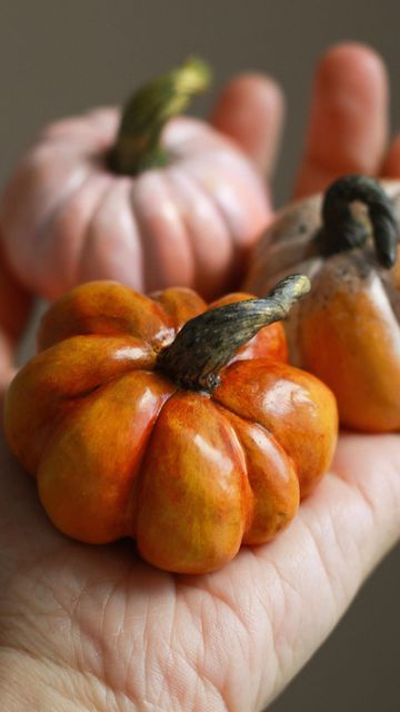 two miniature pumpkins sitting on someone's hand