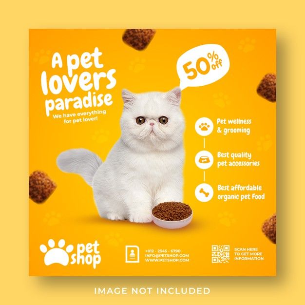 a flyer for a pet shop with a white cat