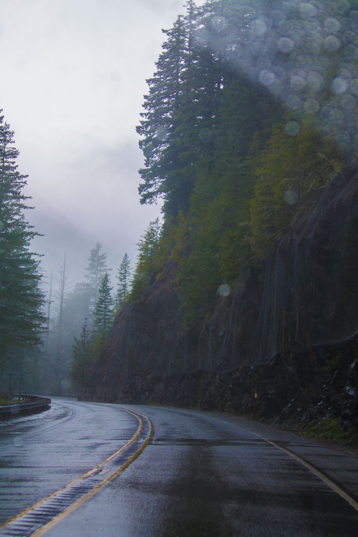 a wet road with trees on both sides