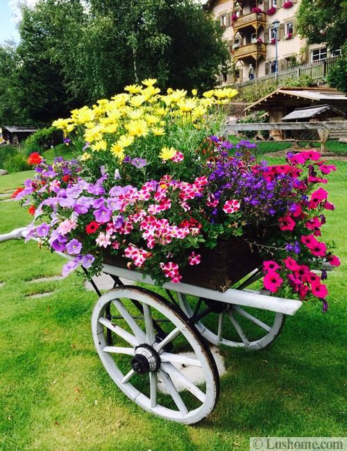 a wheelbarrow filled with lots of flowers sitting in the grass