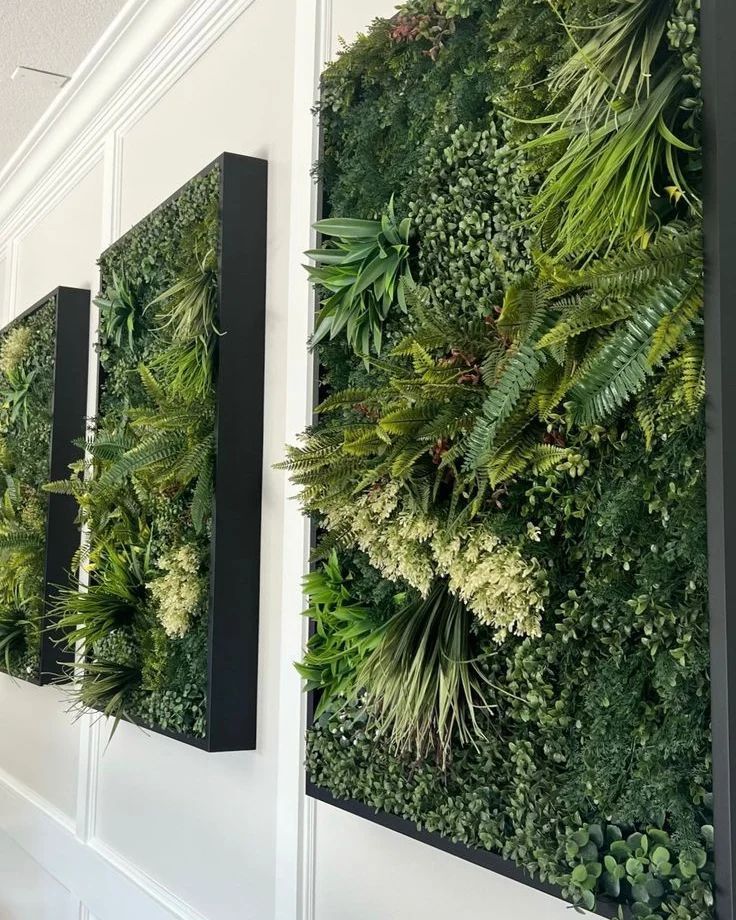 a living wall with green plants on the side and black metal frames above it, along with white walls