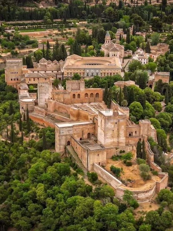 an aerial view of a castle surrounded by trees