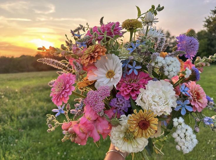 a person holding a bouquet of flowers in front of the sun setting over a field