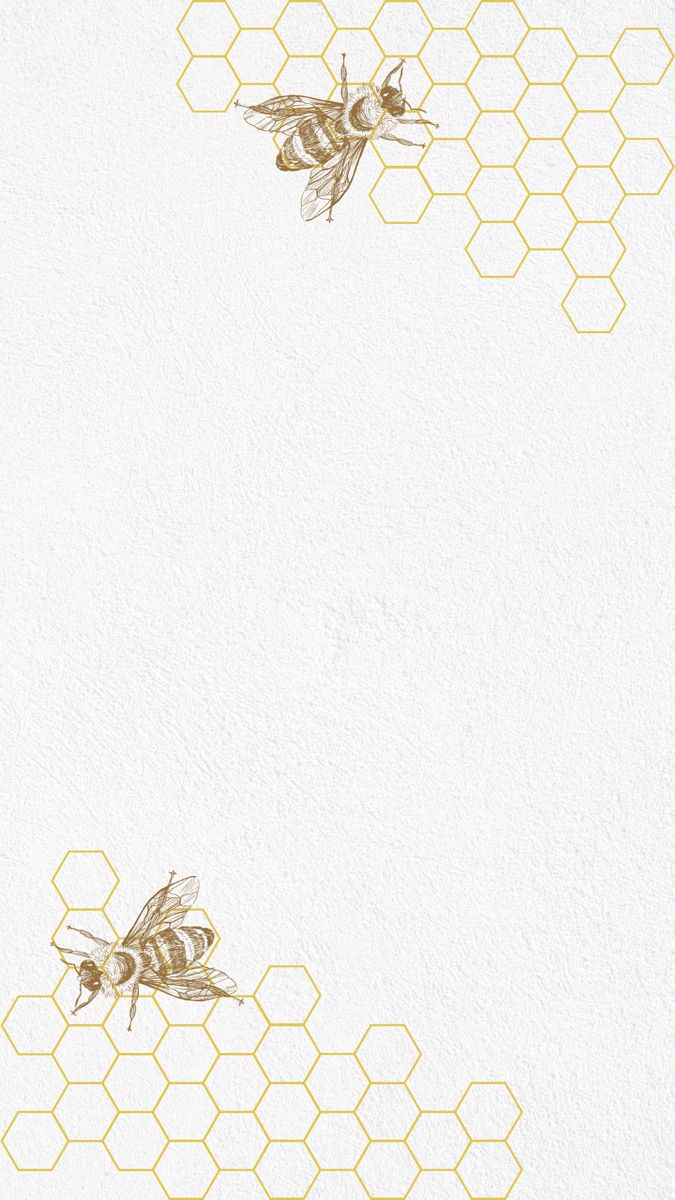 two bees on a white background with honeycombs in the bottom right corner and one above them