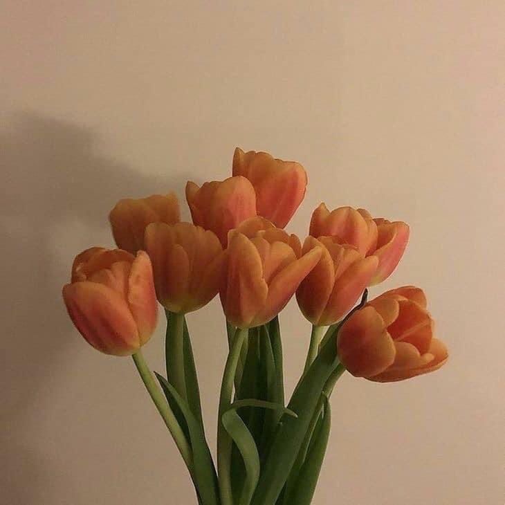 a vase filled with orange flowers on top of a wooden table next to a white wall