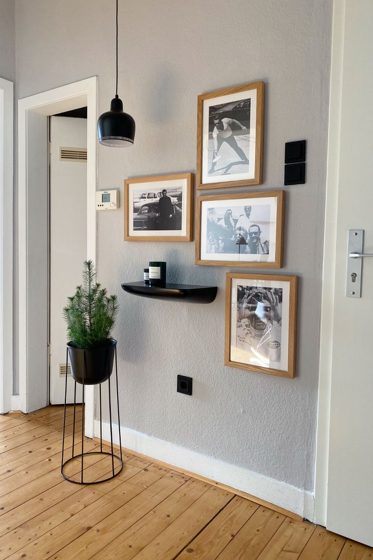 a wall with pictures on it and a potted plant