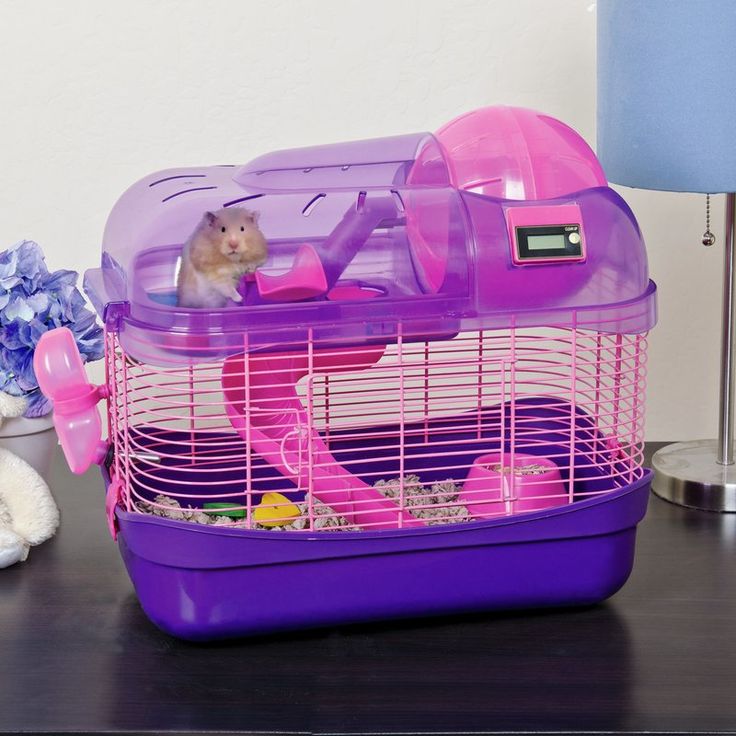 a hamster is sitting in its cage on the table next to a stuffed animal