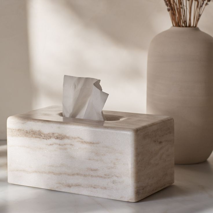 a tissue dispenser sitting next to a vase