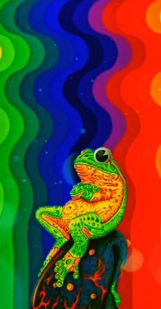 a frog sitting on top of a rock in front of a rainbow colored wallpaper