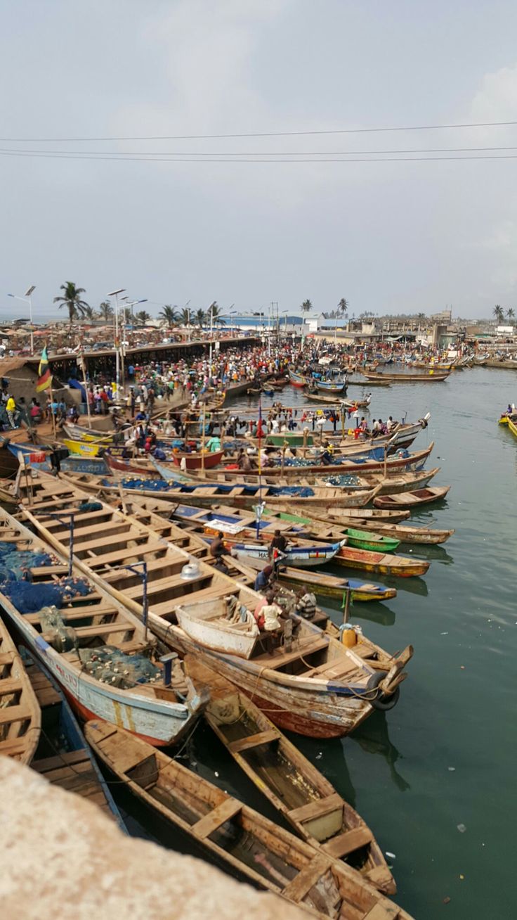 many small boats are docked in the water