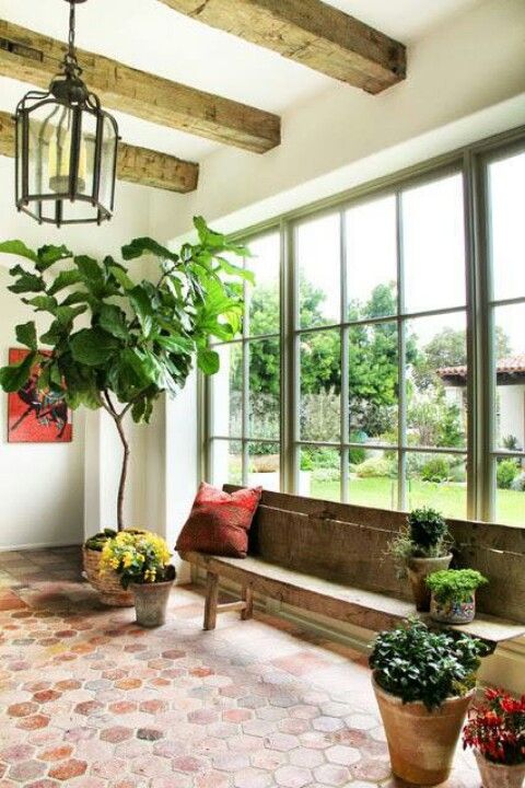 a living room filled with lots of windows and furniture next to a potted plant