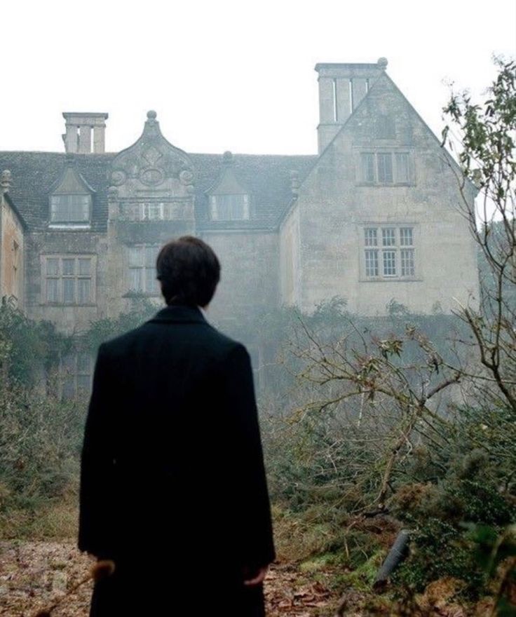 a man standing in front of a large building on a foggy day with trees and bushes