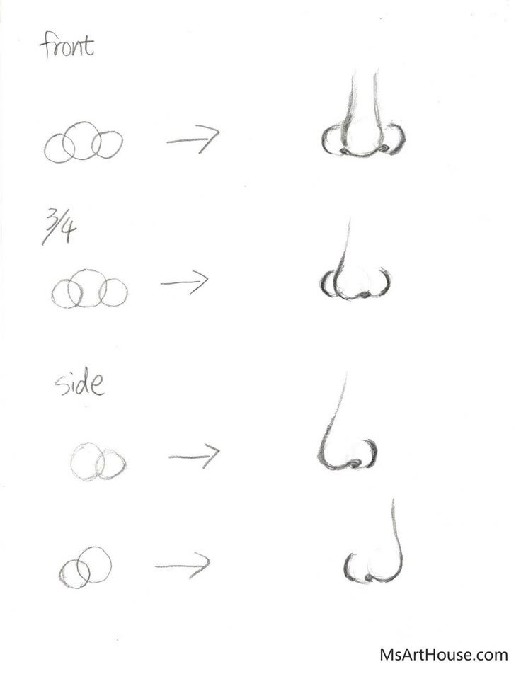 different types of nose shapes and how to draw them with markers on the bottom side