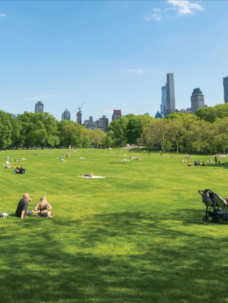 people are sitting in the grass on a sunny day with skyscrapers in the background