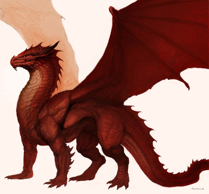 a drawing of a red dragon with its wings spread out and it's head turned to the side