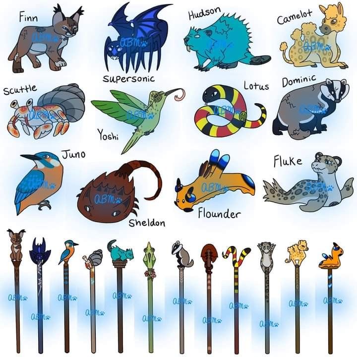 an image of different types of animals and their names