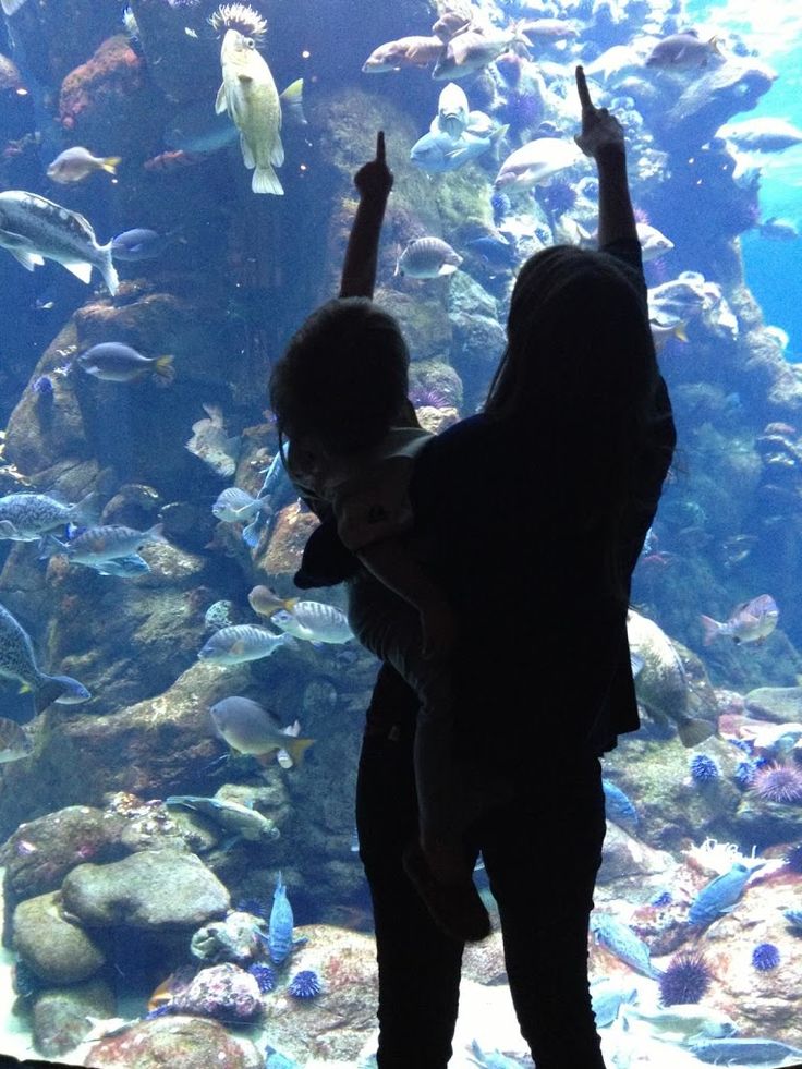 two people are standing in front of an aquarium looking at fish and pointing to the sky