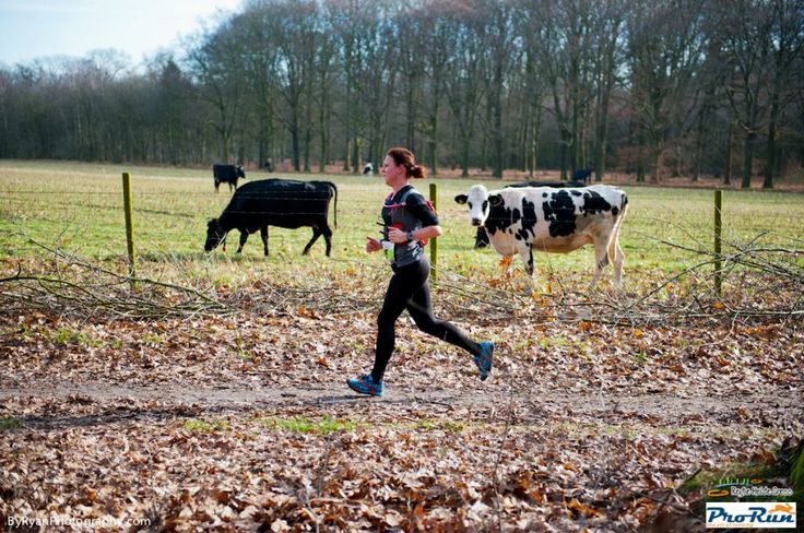 a woman running in front of cows on a field with trees and grass behind her