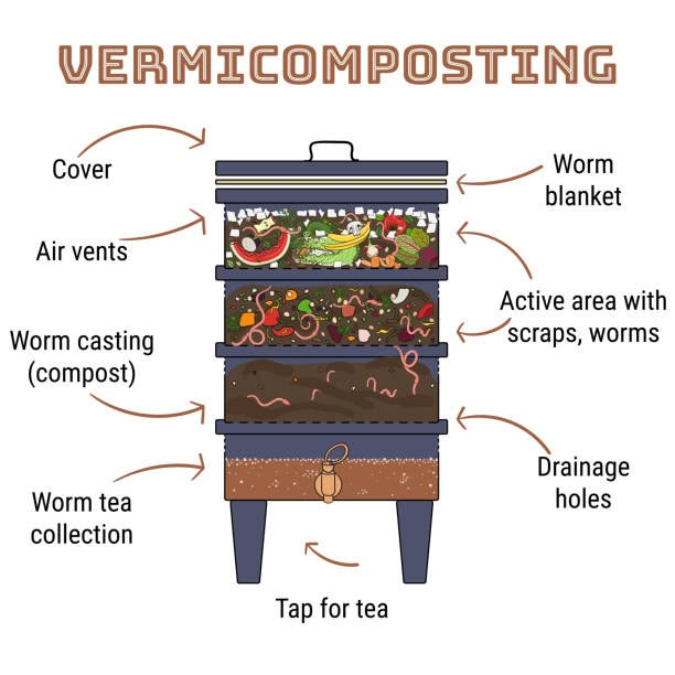 the parts of a vermicomposting composting box