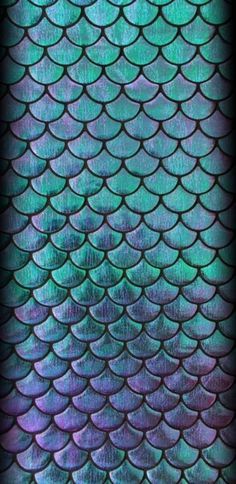 the scales of a fish's tail are blue and green