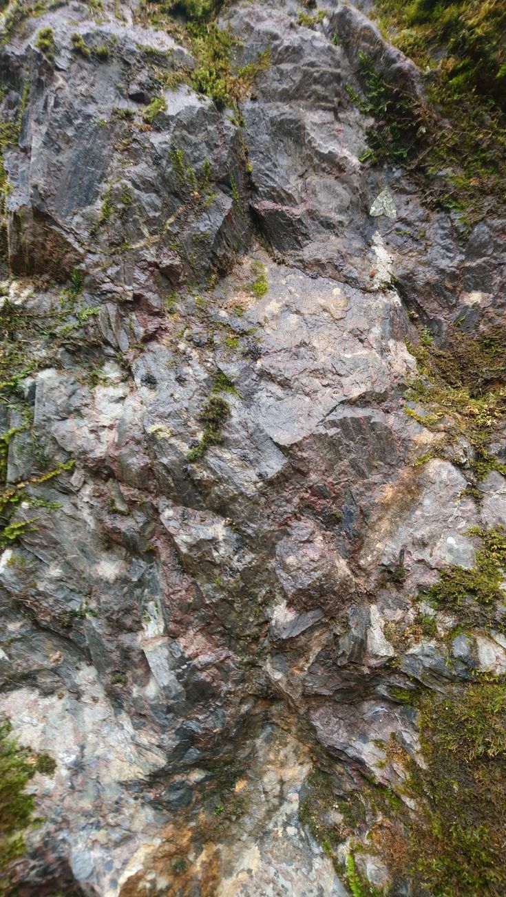 the rocks are covered with moss and lichen