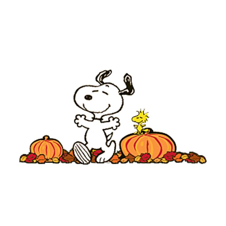 a cartoon dog standing in front of pumpkins