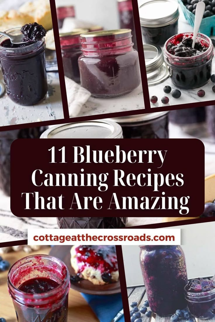 blueberry canning recipes that are amazing