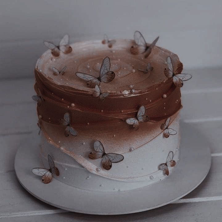 there is a three layer cake with butterflies on the frosting and chocolate icing