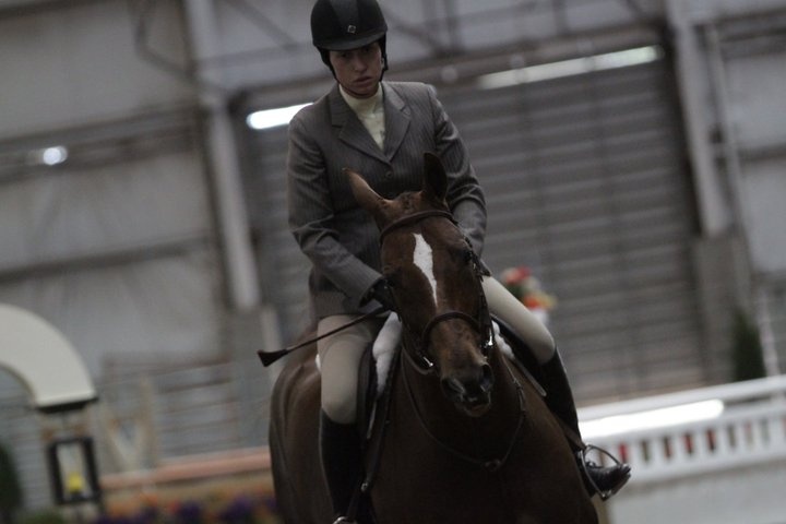 a man riding on the back of a brown and white horse in an indoor arena