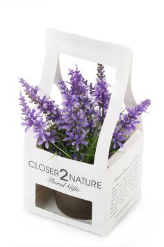 purple flowers are in a white box with the word closer 2 nature printed on it