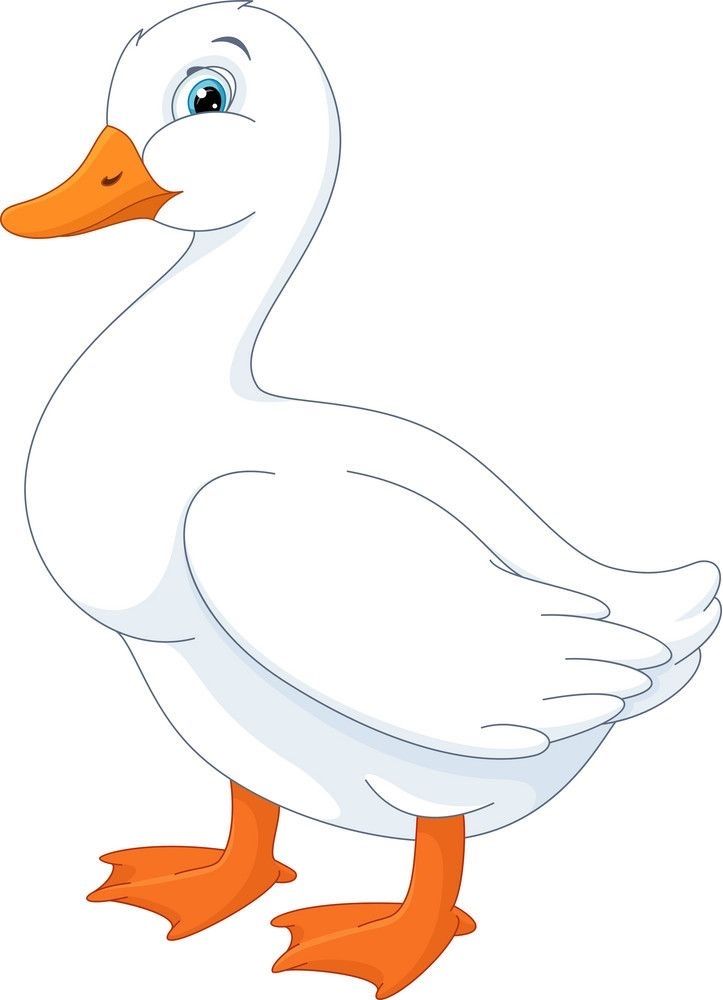 a white duck with an orange beak and legs