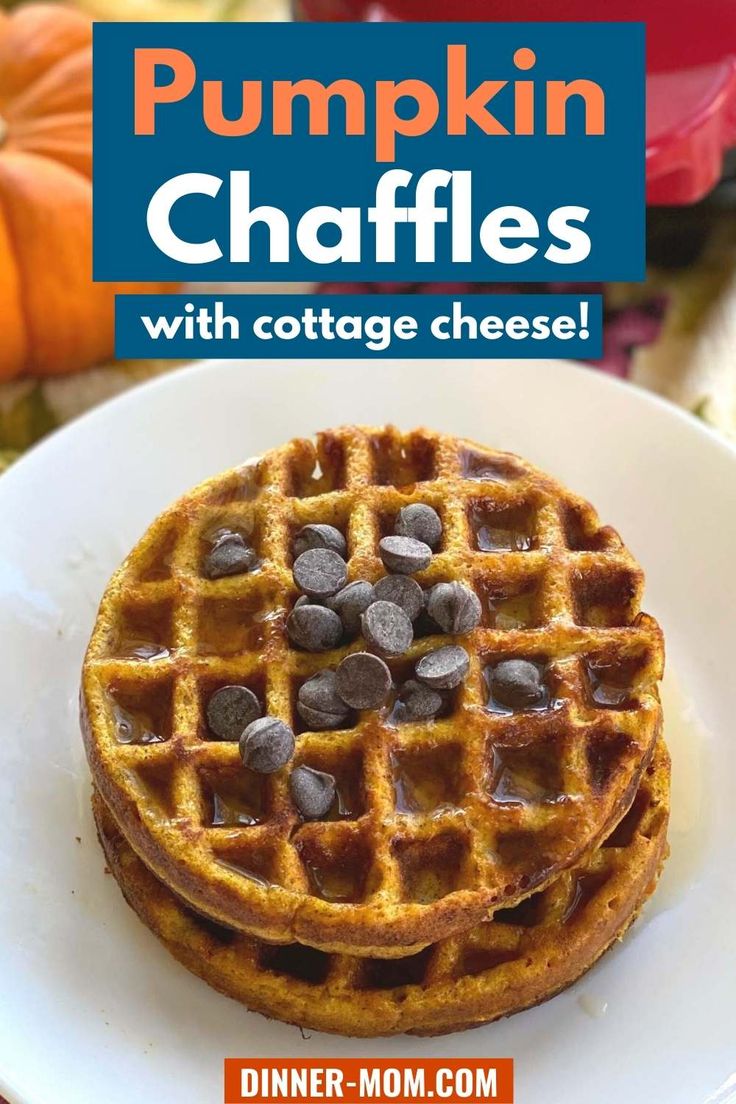 pumpkin chaffles with cottage cheese on a white plate and the title overlay reads, pumpkin chaffles with cottage cheese