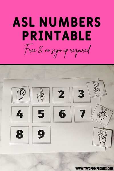 the asl numbers printable is shown on a table with pink and white background