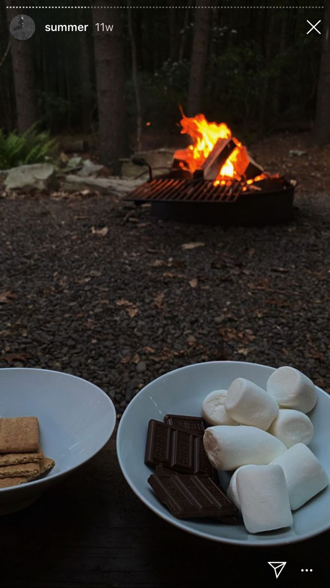 two plates with marshmallows on them next to a fire